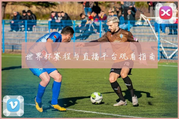 世界杯赛程与直播平台观看指南