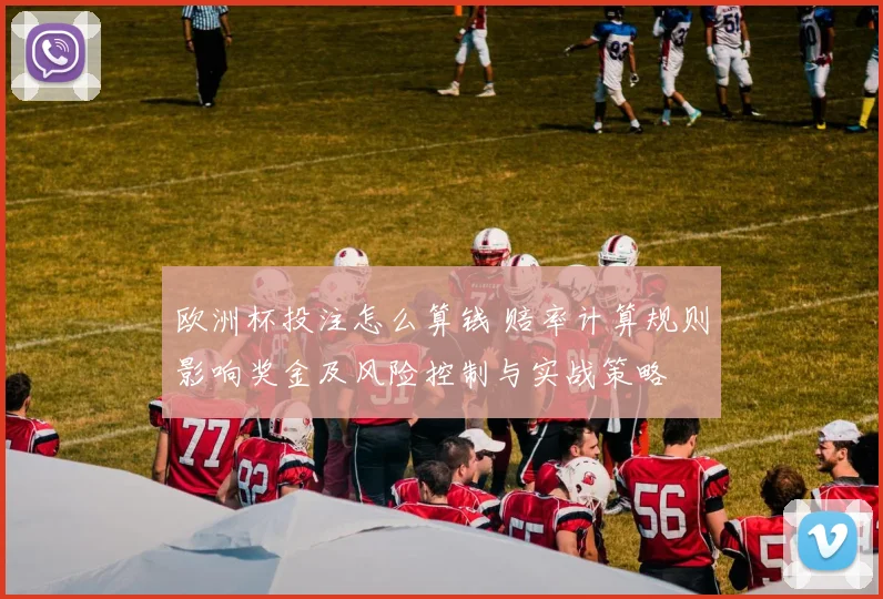 欧洲杯投注怎么算钱 赔率计算规则影响奖金及风险控制与实战策略
