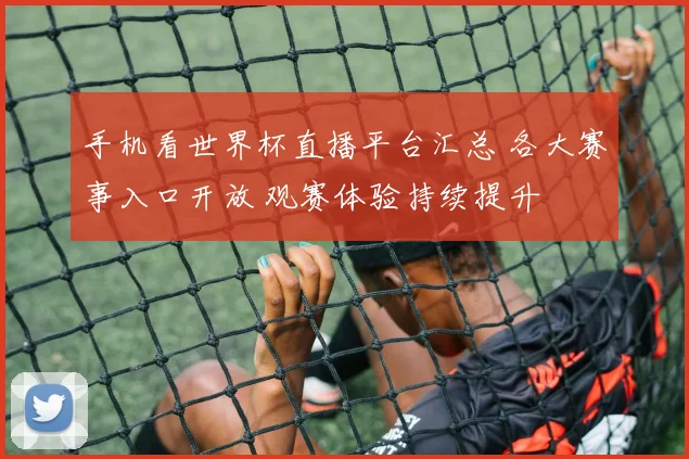 手机看世界杯直播平台汇总 各大赛事入口开放 观赛体验持续提升