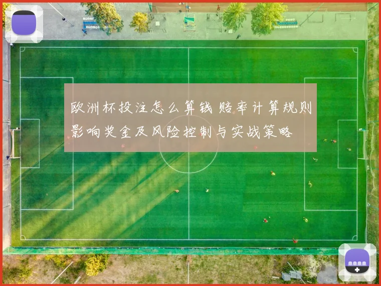 欧洲杯投注怎么算钱 赔率计算规则影响奖金及风险控制与实战策略