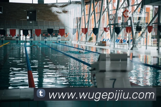 milan登录入口平台生态图