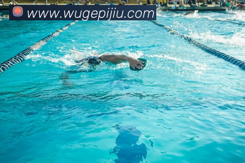 milan登录入口全站App milan登录入口全站App